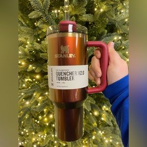 lainey wilson stanley 40 oz tumbler